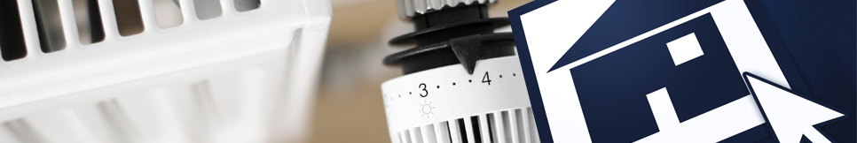 Banner - Dieter Baer