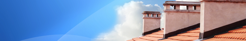 Banner - Dieter Baer