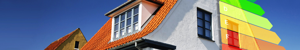 Banner - Dieter Baer