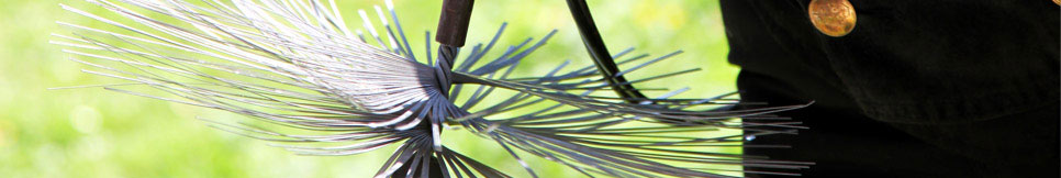 Banner - Dieter Baer